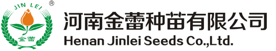 廣州捷冠信息科技有限公司
